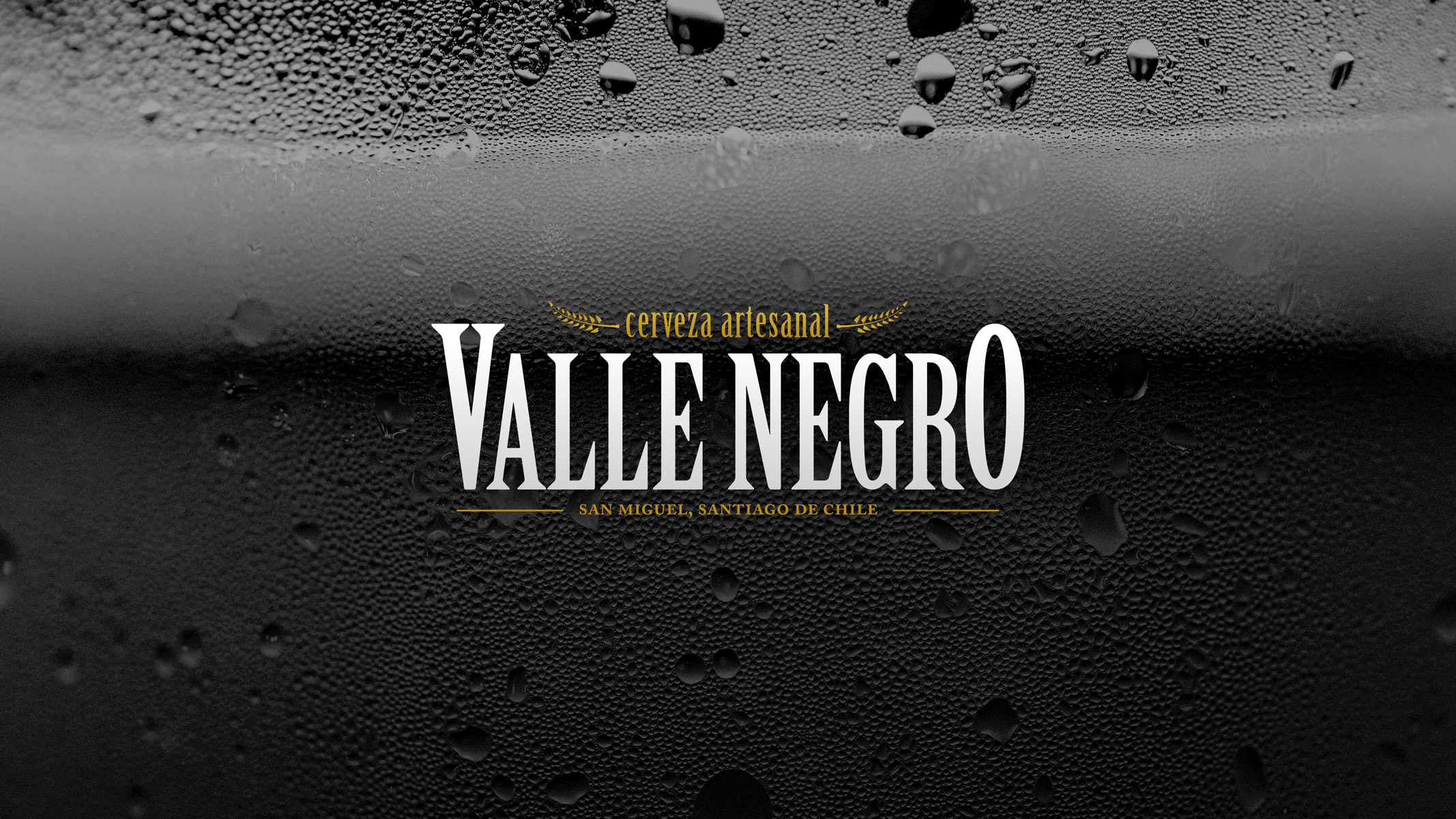Aparece un fondo de cerveza en Monocromo y el logotipo de Valle Negro Cervecería ©Leandro Fuenzalida